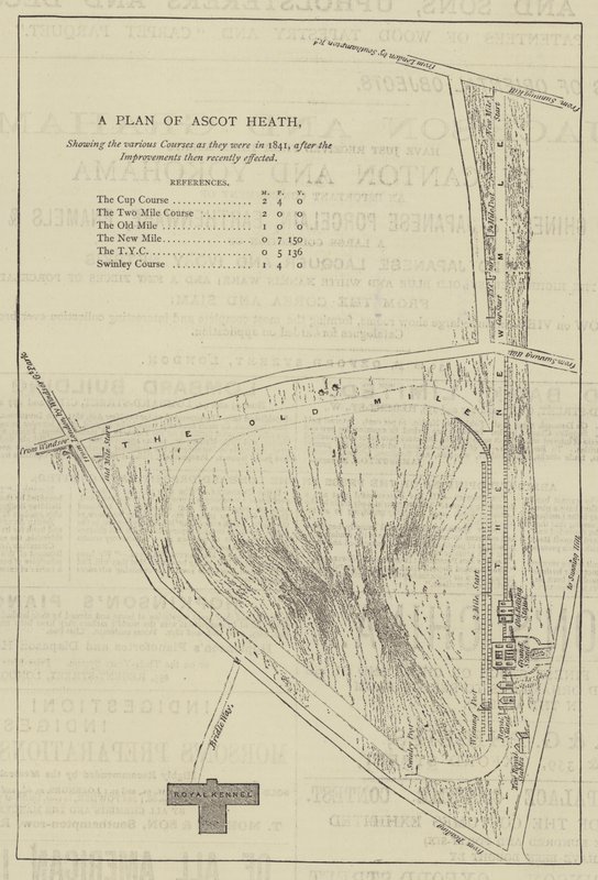A Plan of Ascot Heath (エングレーヴィング) 作： 英語学校