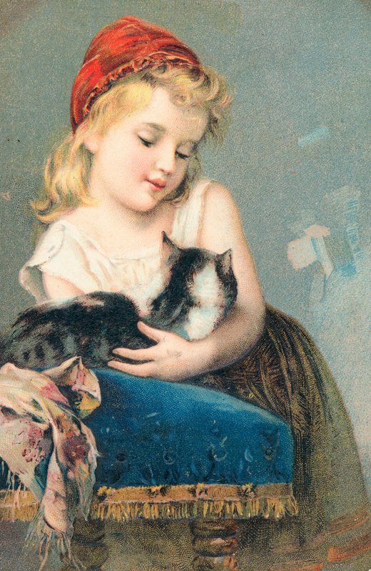 猫とポーズの少女 作： 英語学校
