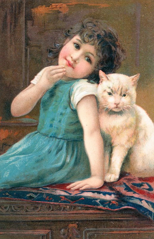 猫とポーズの少女 作： 英語学校
