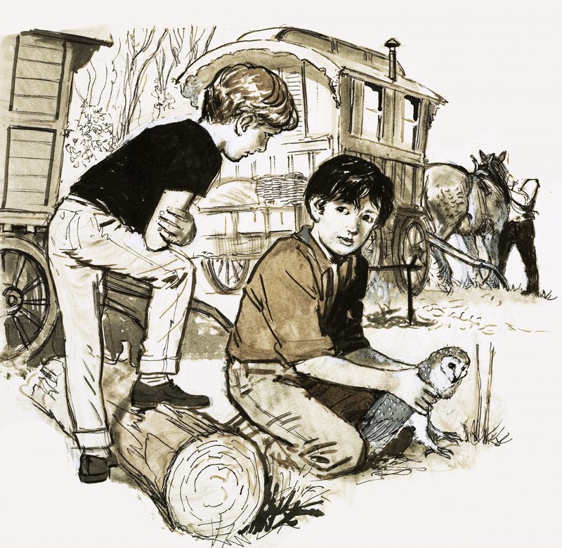 フクロウの男の子 作： 英語学校