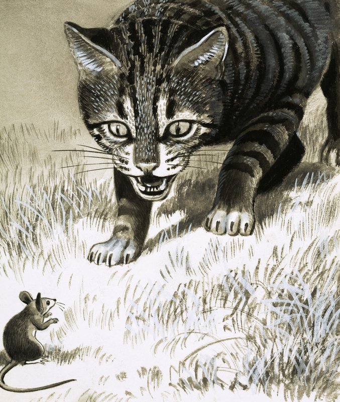 ネズミに近づく猫 作： 英語学校