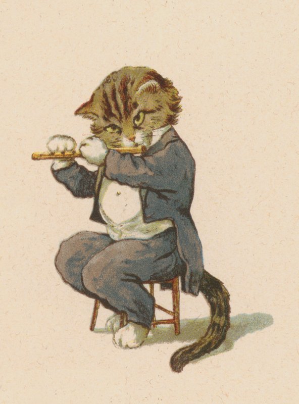 フルート（クロモリ）を吹く猫 作： 英語学校