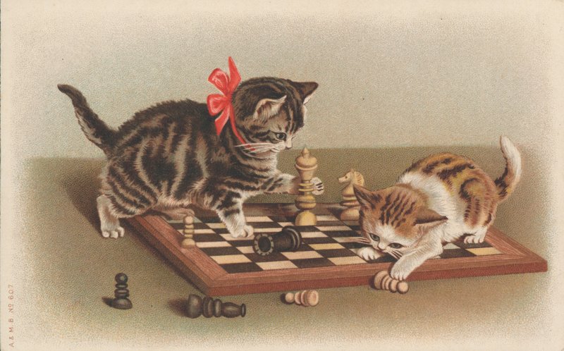 チェスをする猫 作： 英語学校