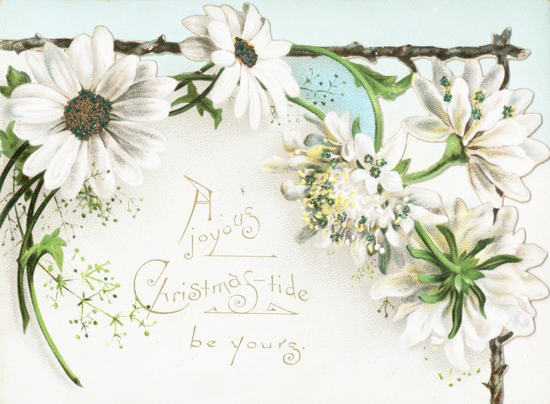 クリスマスの花、クリスマスカード 作： 英語学校