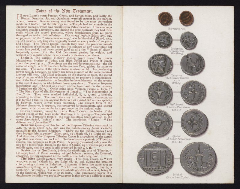 新約聖書の硬貨 作： 英語学校