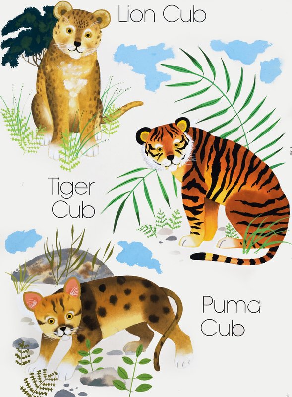 大きな猫のカブス 作： 英語学校