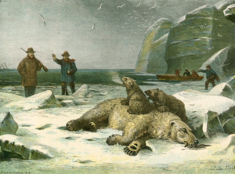 死んだシロクマとカブス 作： 英語学校