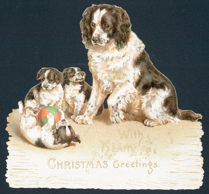 犬と子犬、クリスマスカード 作： 英語学校