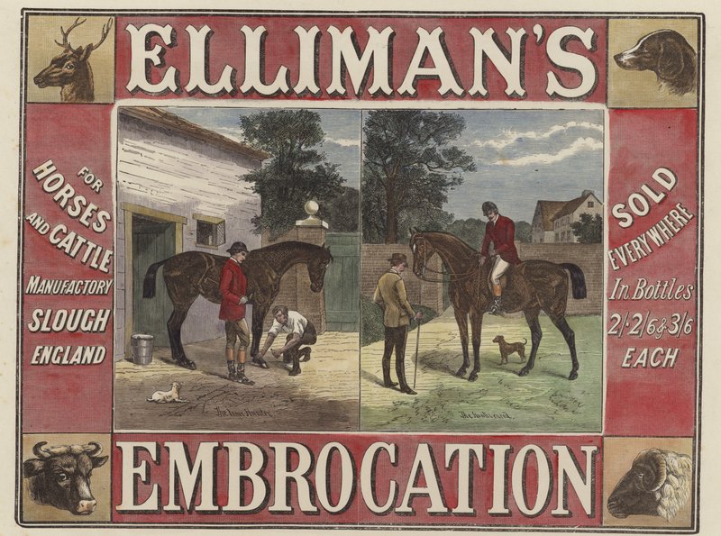 Ellimans Embrocation 作： 英語学校