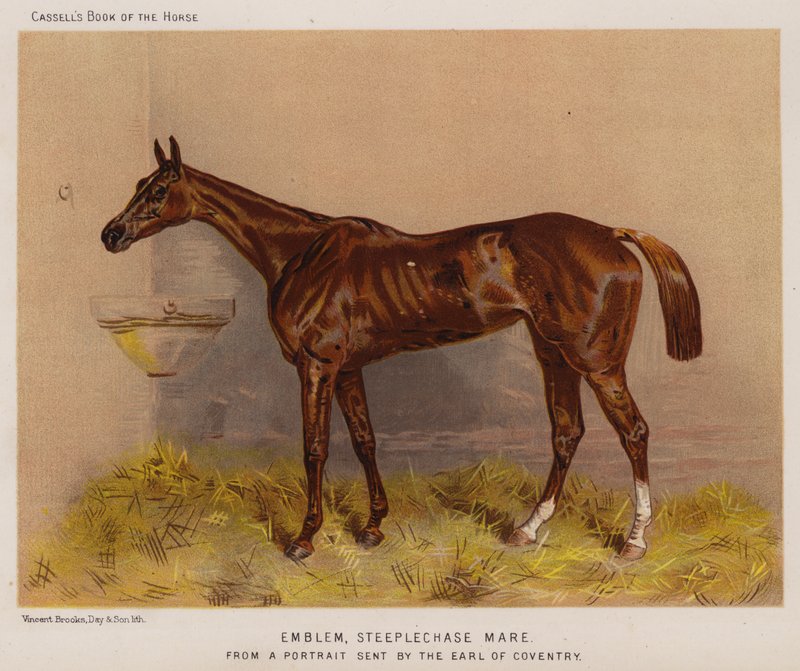 エンブレム、障害物競走の牝馬（カラーリトグラフ 作： 英語学校