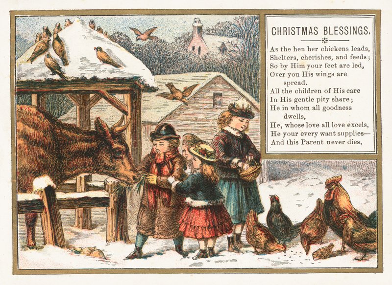 雪の中で動物に餌をやる、クリスマスカード 作： 英語学校