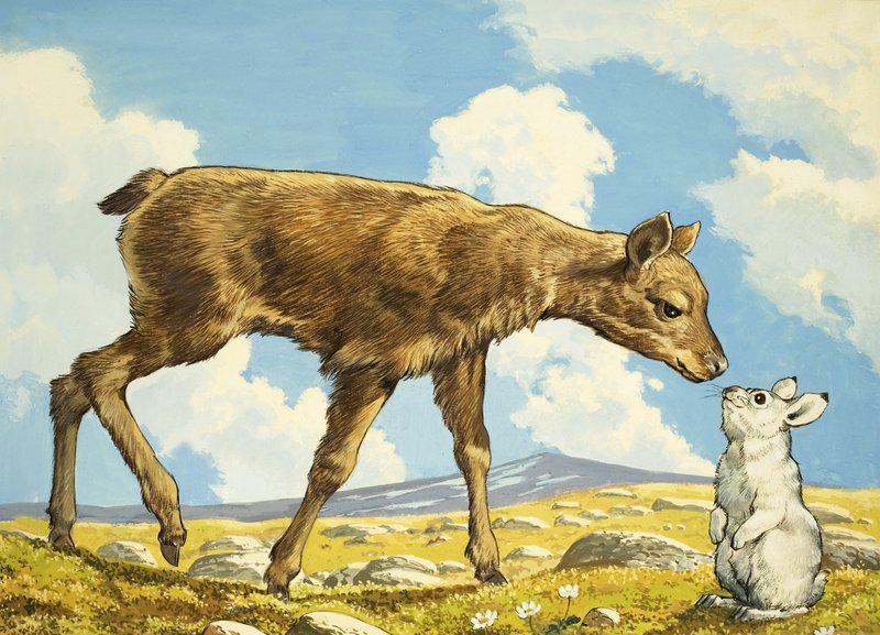 ガゼルとウサギのウサギ 作： 英語学校