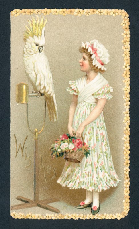 少女とインコ、クリスマスカード 作： 英語学校