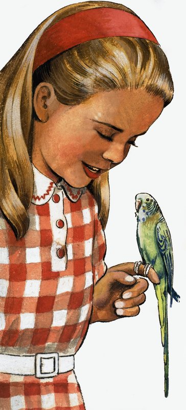 セキセイインコを持つ少女 作： 英語学校