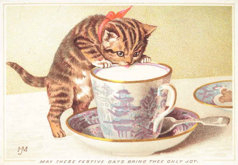 お茶を飲む子猫、クリスマスカード 作： 英語学校