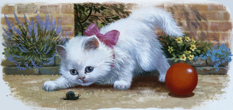 カタツムリとボールの子猫 作： 英語学校