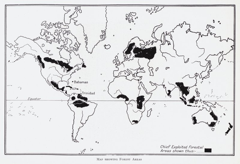 森林地帯の地図（リトグラフ 作： 英語学校