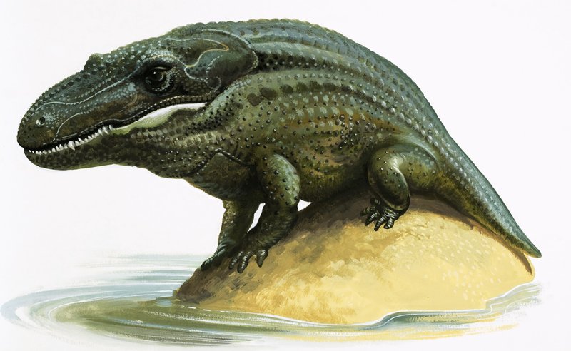 マストドサウルス 作： 英語学校