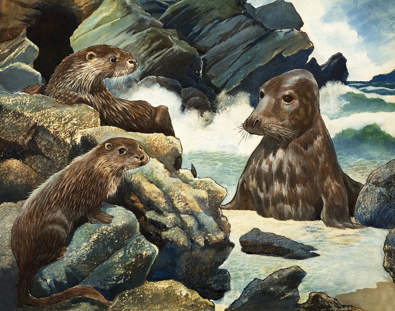 カワウソとセイウチ 作： 英語学校