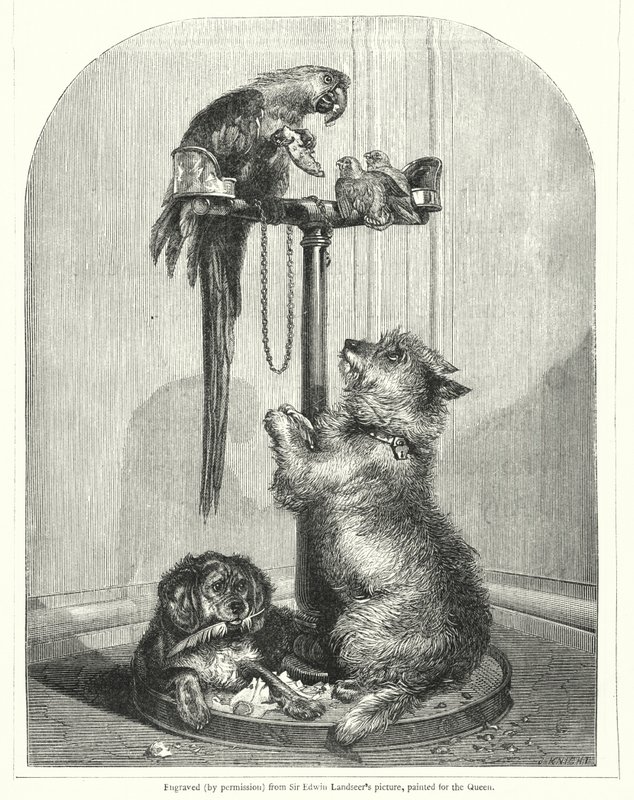 オウムと犬（彫刻 作： 英語学校