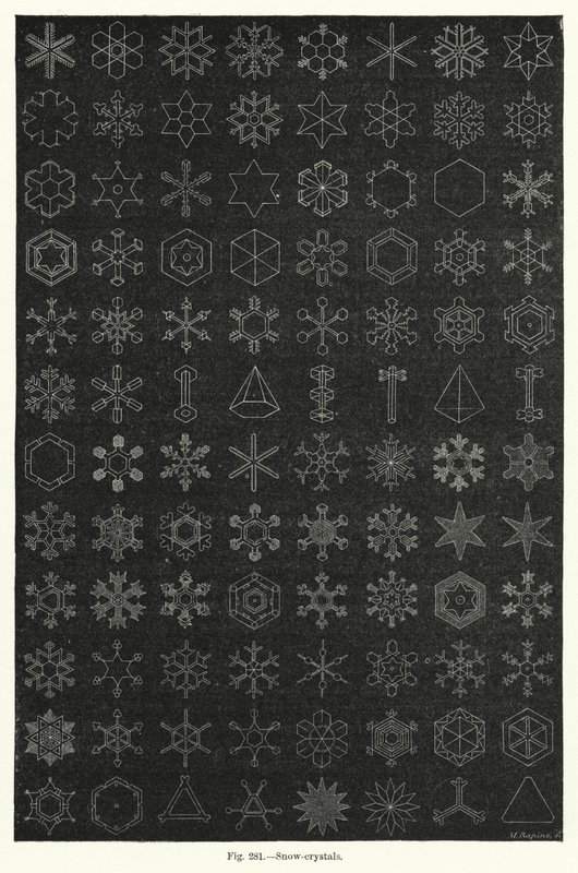 雪の結晶（彫刻 作： 英語学校