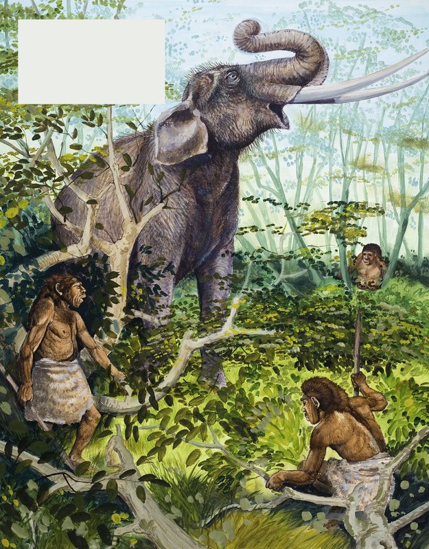 石器時代の人間とゾウ 作： 英語学校