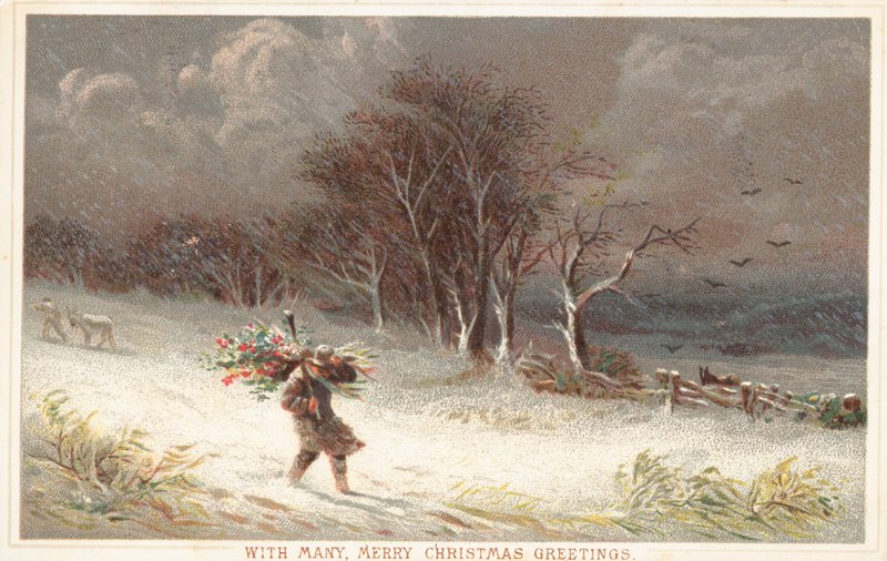 荒天、クリスマスカード 作： 英語学校