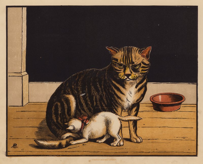ザ・キャット（カラーリトグラフ） 作： 英語学校