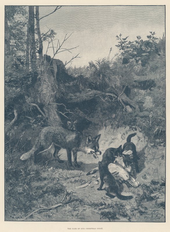 The Fate of our Christmas Goose (Engraving) 作： 英語学校
