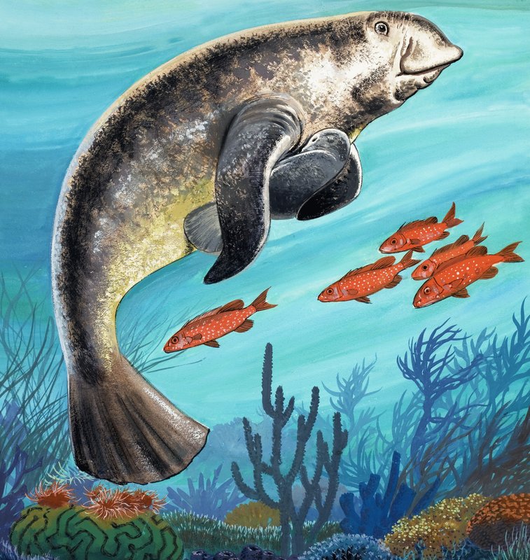 海底の生き物 作： 英語学校