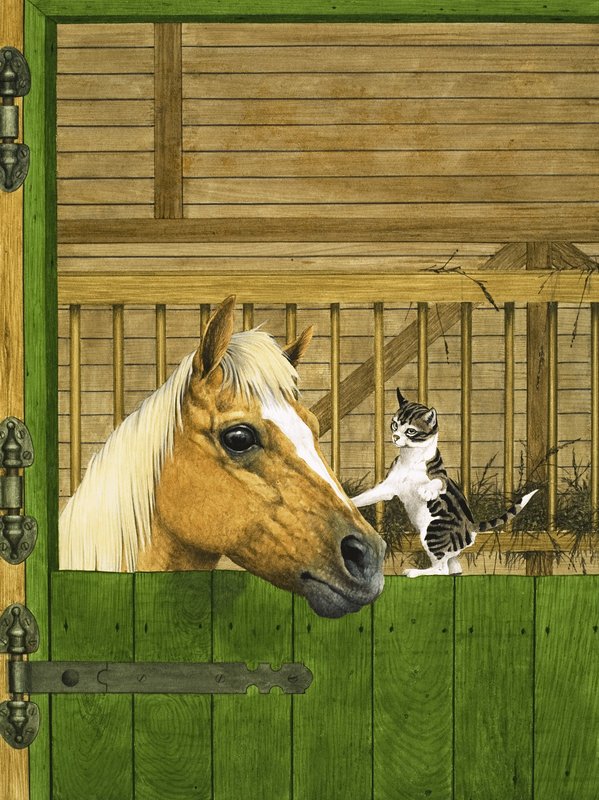 正体不明の馬と遊び心のある子猫 作： 英語学校