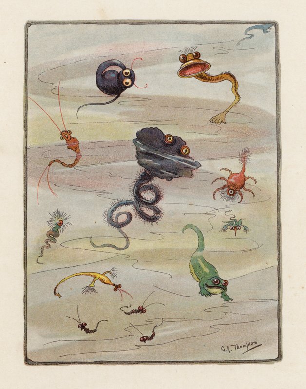 微生物（カラーリトグラフ） 作： ジョージヘンリートンプソン