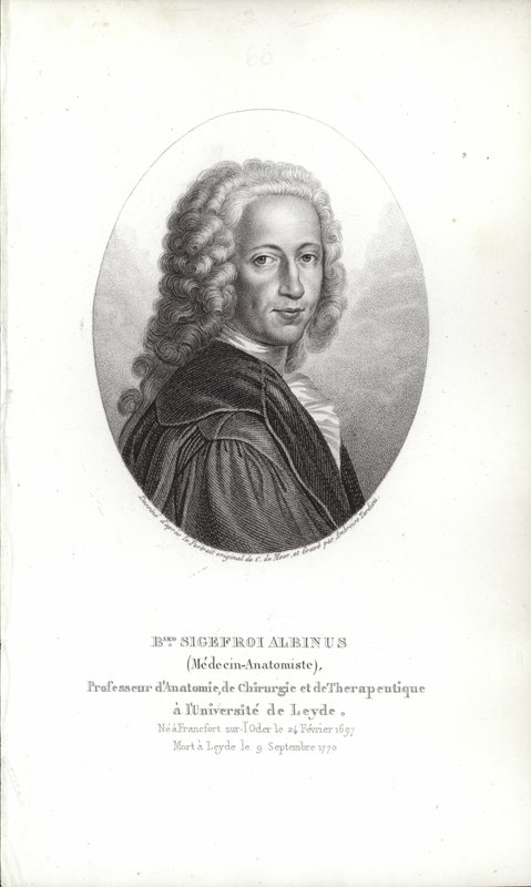 ベルンハルト・ジークフリート・アルビナス 作： ドイツ語学校