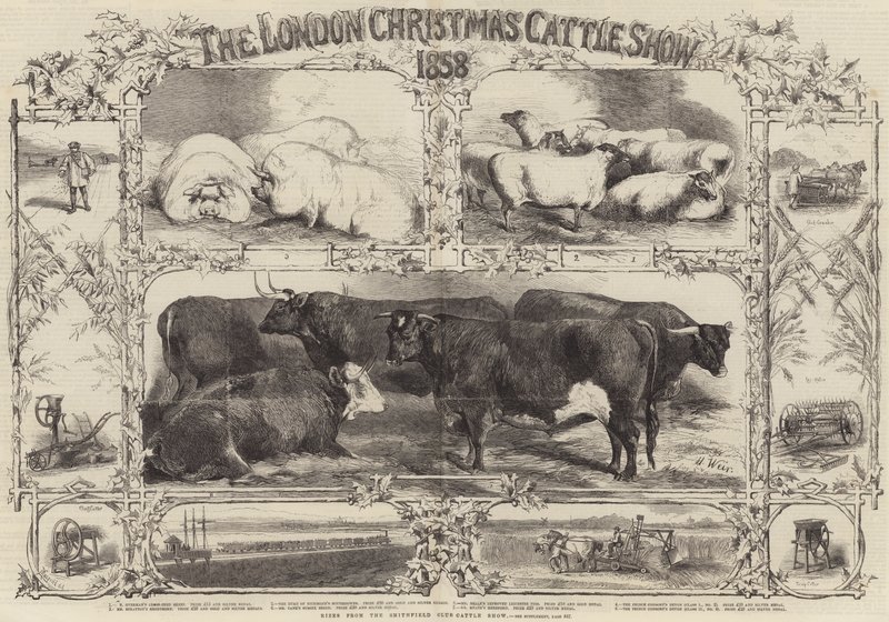 1858年のロンドンのクリスマス牛ショー 作： ハリソンウィリアムウィアー