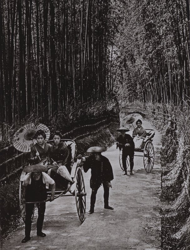 京都の竹林通り（モノクロ写真 作： ハーバート・ポンティング