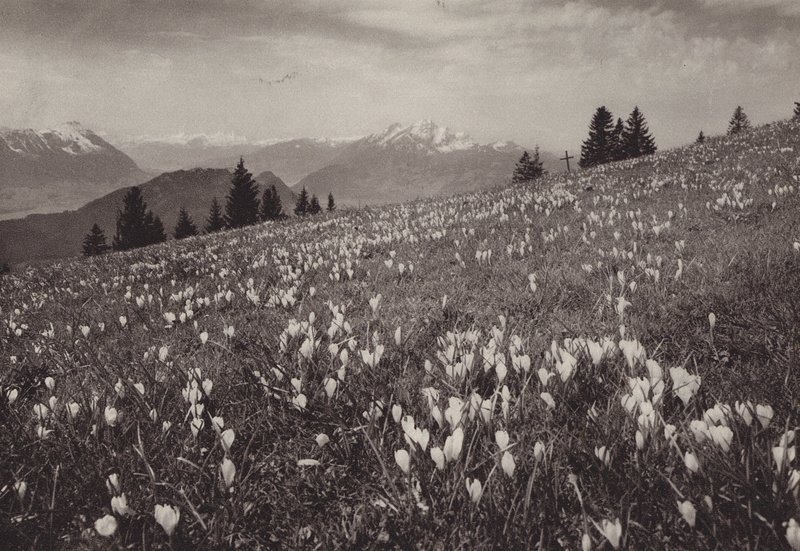 Rigi Kaltbad、Fruhling (白黒写真) 作： ジャン・ガベレル