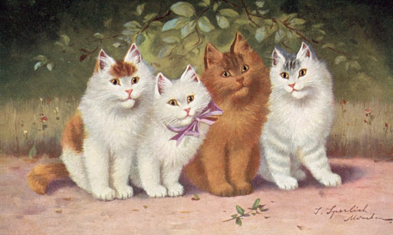 猫のポストカード（カラーリトグラフ） 作： ジョゼフ・シュパーリッヒ