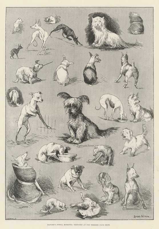 Nature&39;s Fitful Moments、Sketches at the Terrier Club Show 作： ルイス・ウェイン