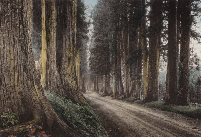日本、1912年頃。日光・杉並木道（写真 作： 写真家日本人