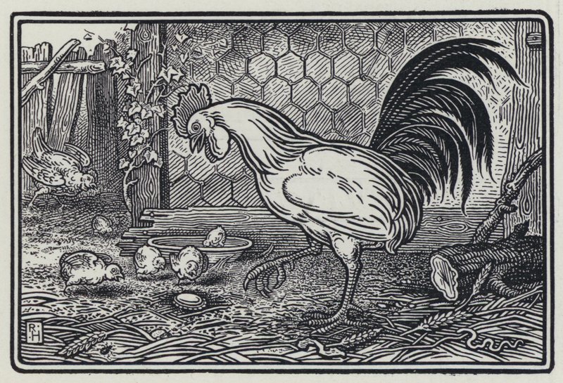 The Cock And The Pearl（コックとパール）」（エングレービング 作： リチャード・ハイウェイ