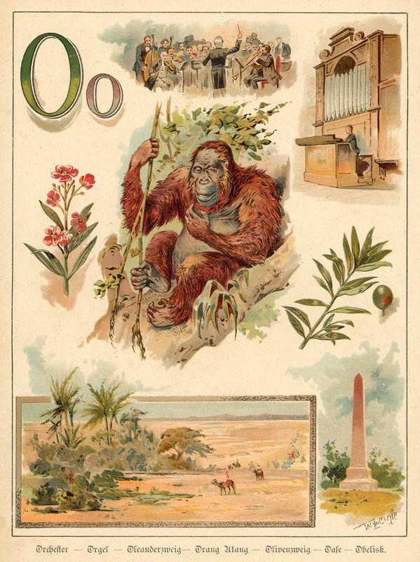 Letter O (chromolitho) 作： ウォルター・ツヴァイグル