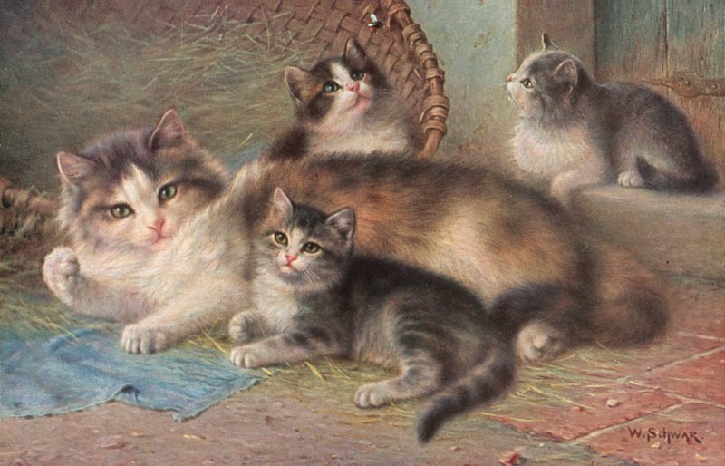 猫のポストカード（カラーリトグラフ） 作： ヴィルヘルム・シュワル